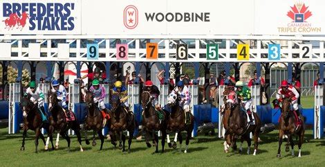 upcoming bloodhorse stakes calendar.